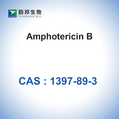 Amphotericin B Powder Cell Culture CAS 1397-89-3 مضاد حيوي